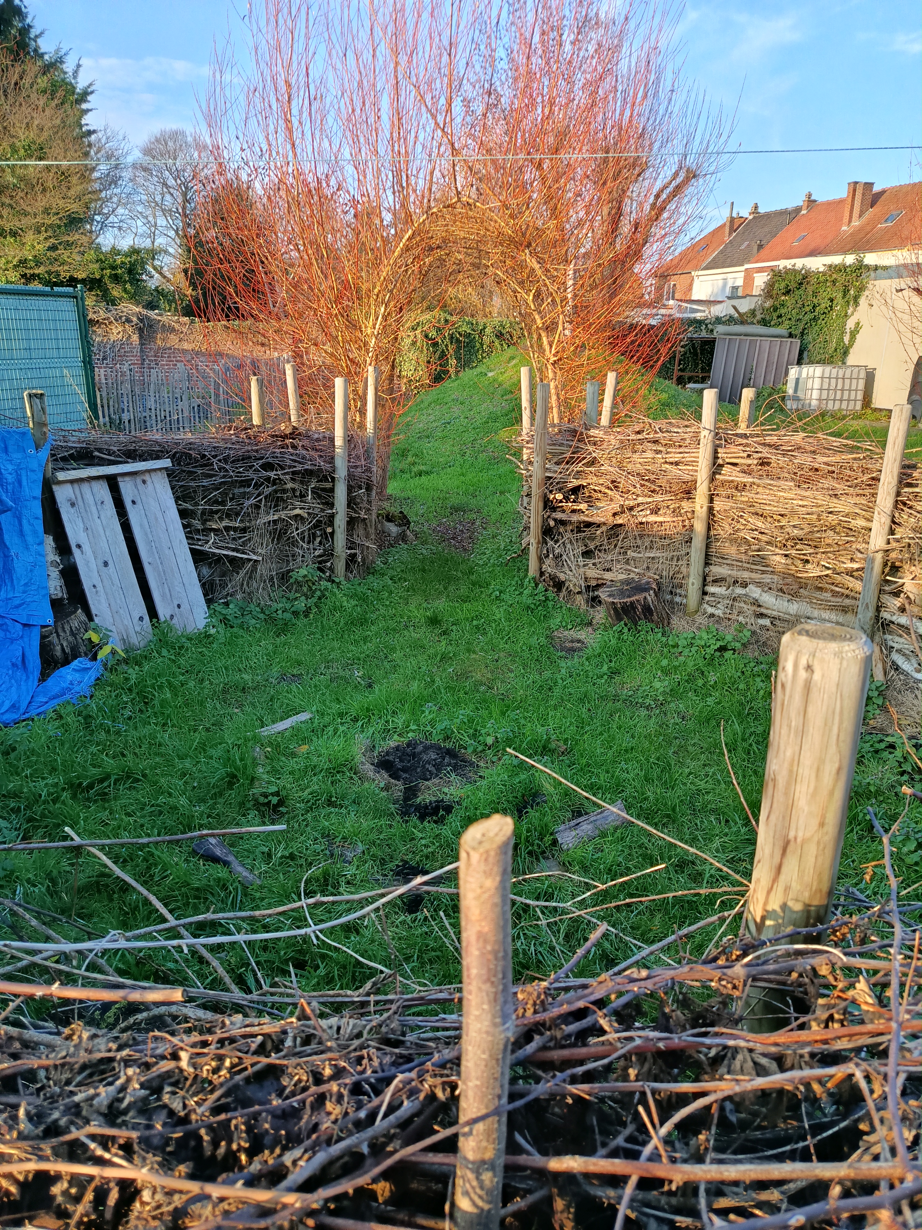 Activités créatives